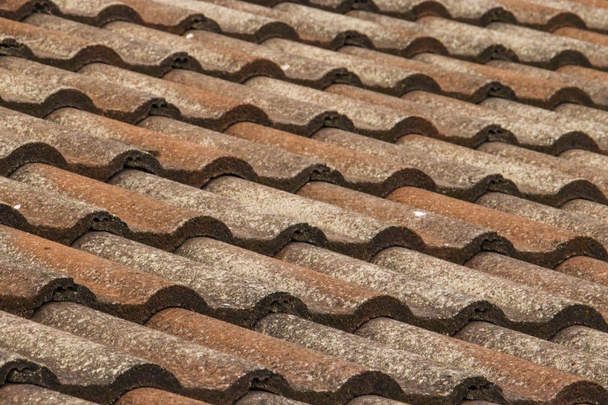 Toiture bien entretenue : nettoyage des mousses, inspection et entretien régulier pour prolonger la durée de vie de votre couverture.